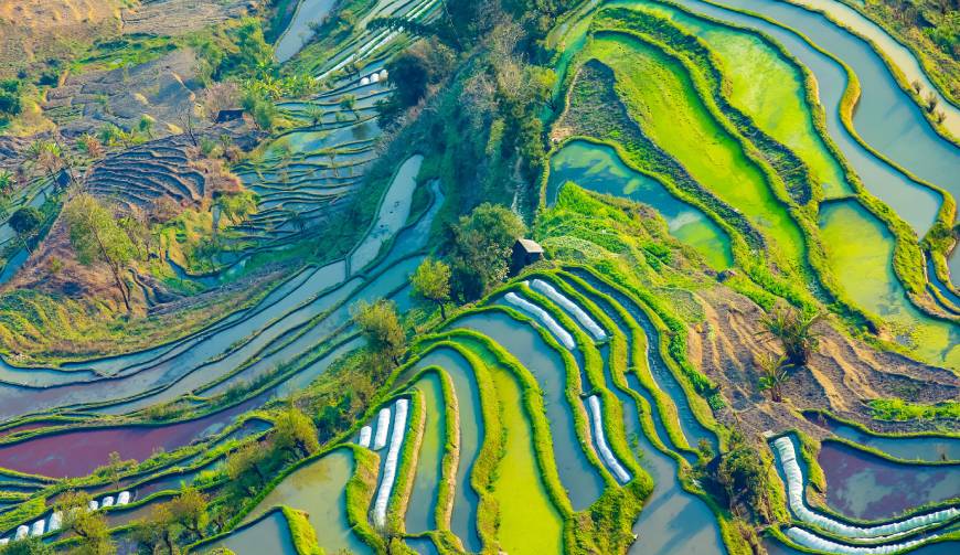 宝妈必备神器：太和区产品视频拍摄轻松育儿好帮手