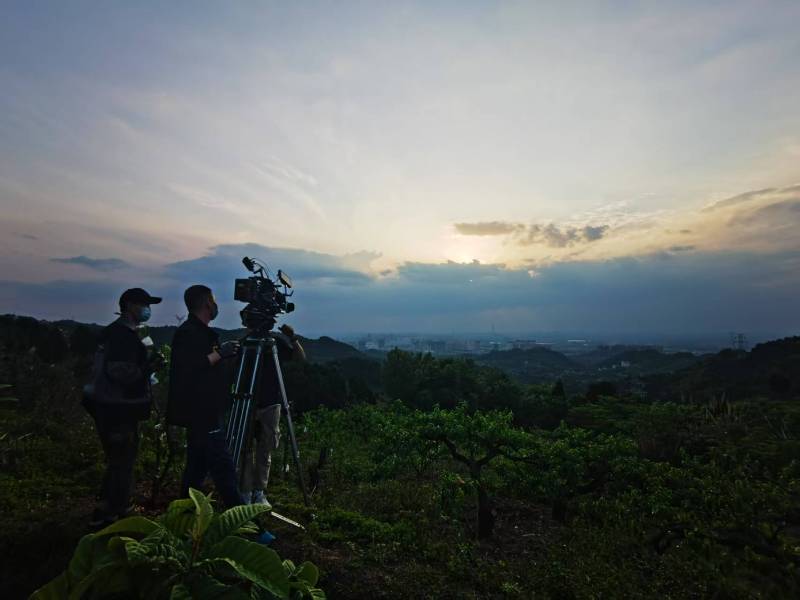 聚焦太和区产品宣传视频拍摄公司，用专业实力铸就品牌传播传奇