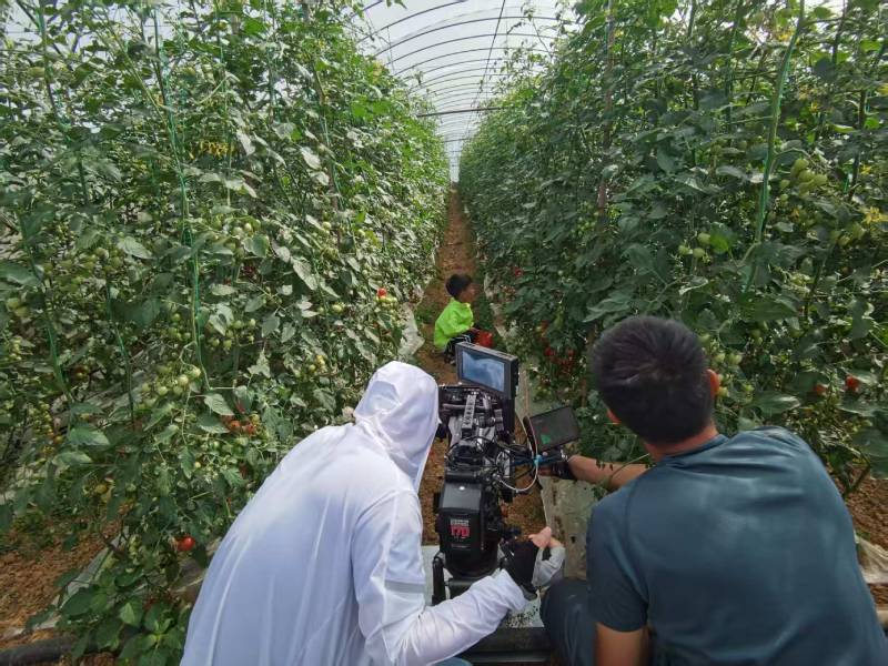 太和区产品宣传视频拍摄公司进阶指南，助力品牌抢占传播高地